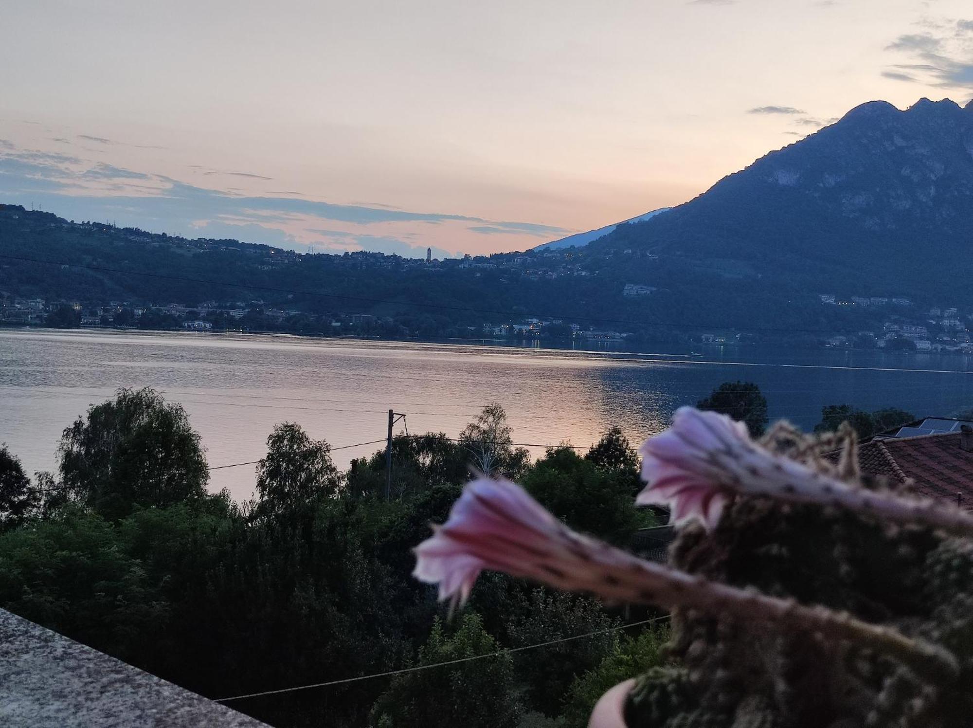 Terrazzo Sul Lago Lecco Bagian luar foto