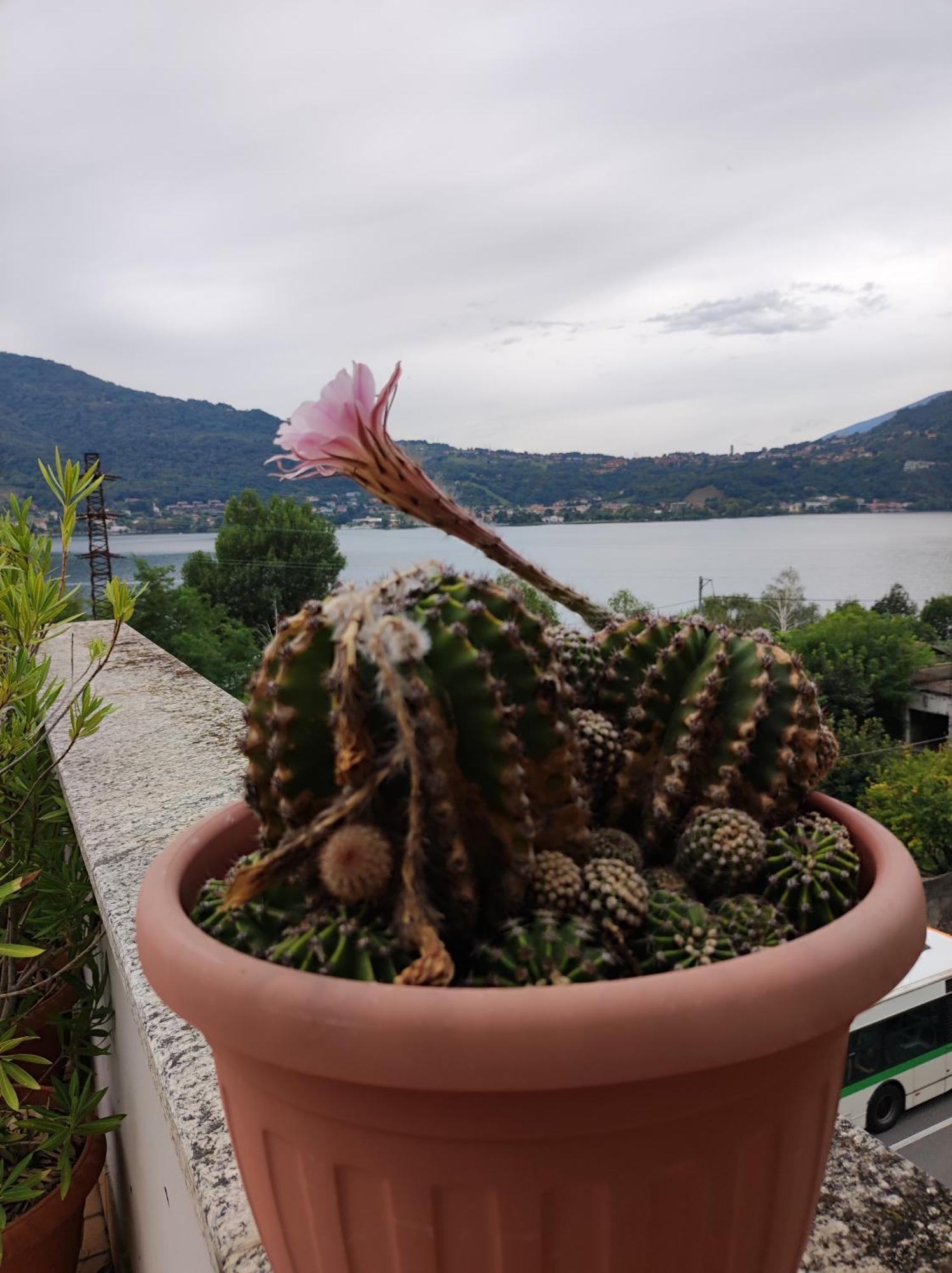 Terrazzo Sul Lago Lecco Bagian luar foto